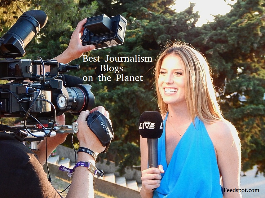 From Newspapers to Blogs: The Evolving Role of a Herausgeber